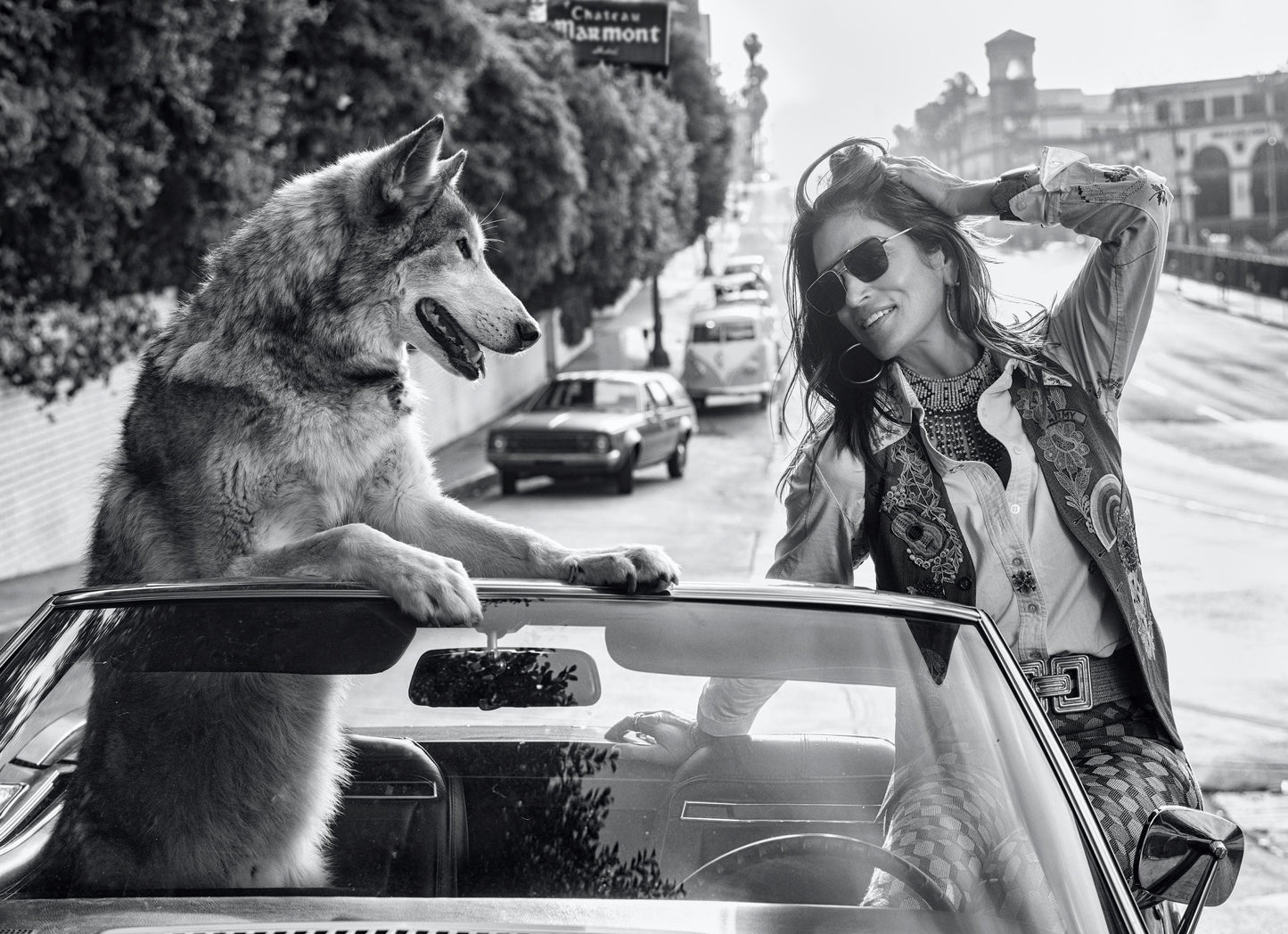 David Yarrow - The Fox and Hound