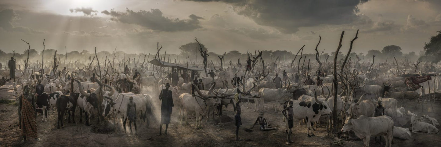 David Yarrow - The New Testament