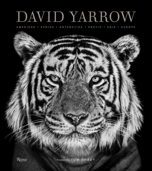 Book cover with a black and white tiger illustration and 'David Yarrow' text on a dark background