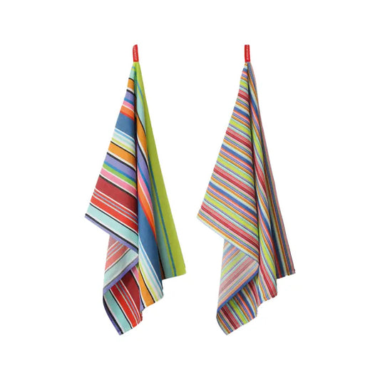 two bold striped kitchen towels