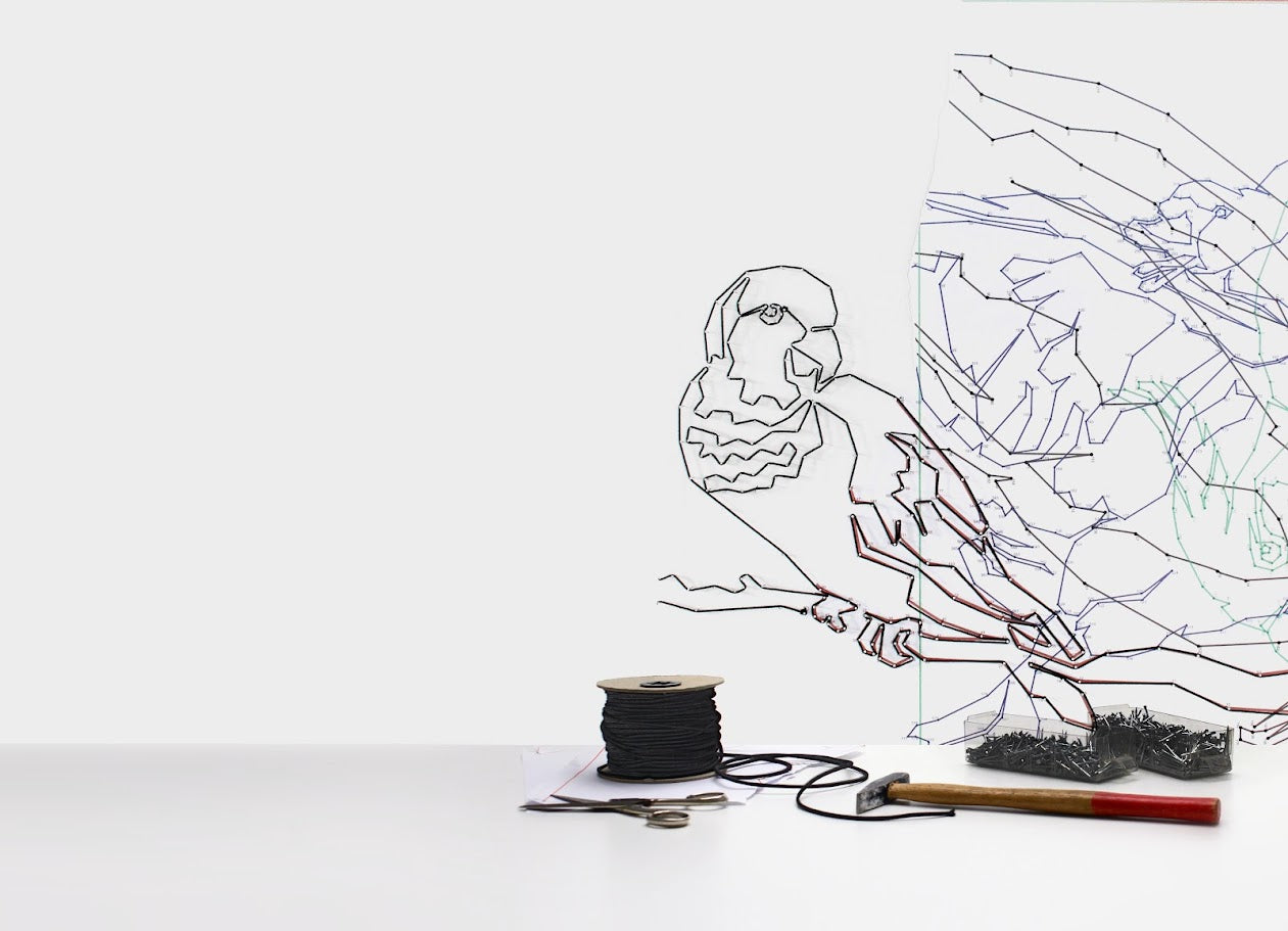 wall mural bird made from rope and nails