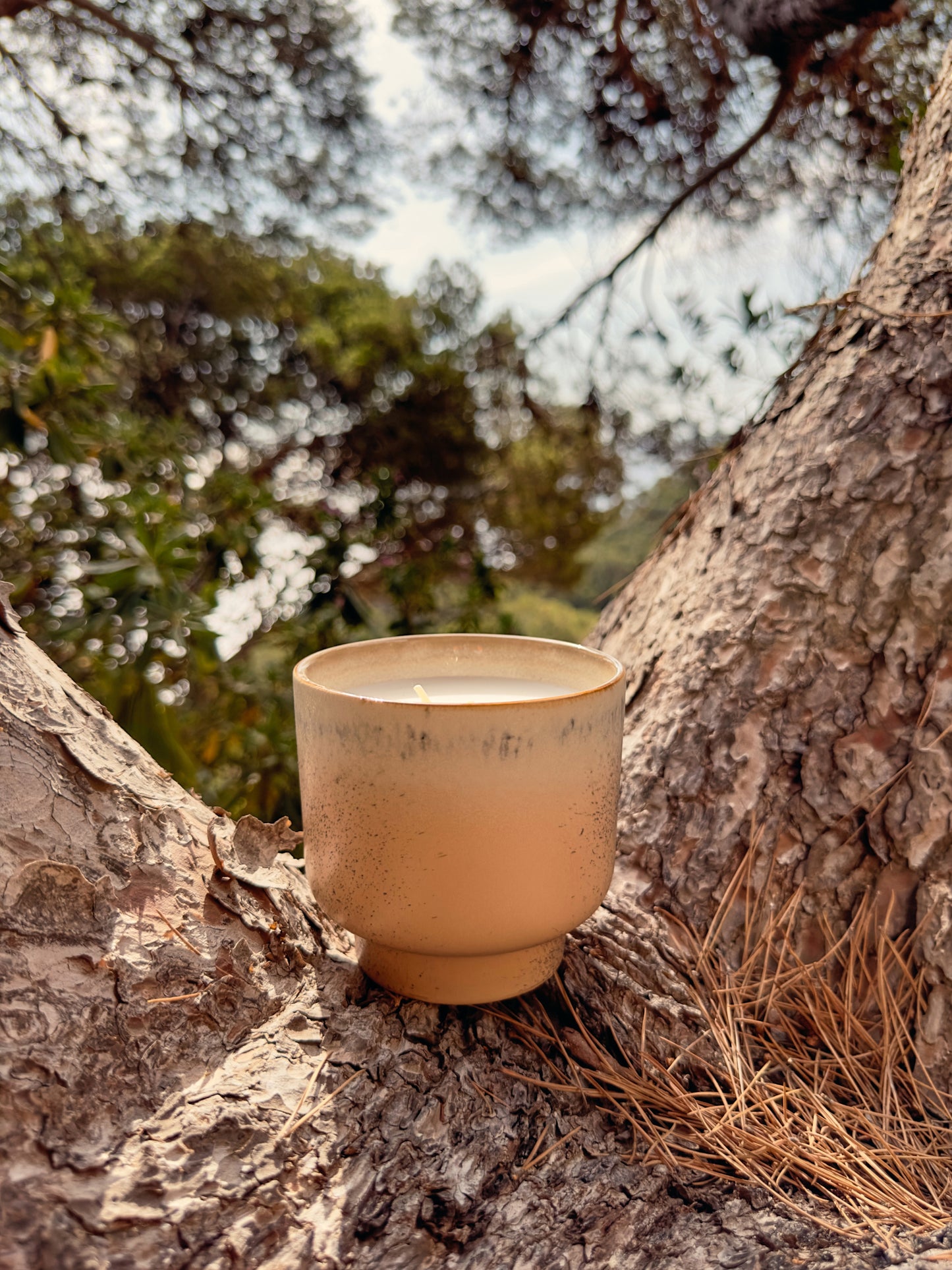 Ceramic cup on a tree stump with a natural background