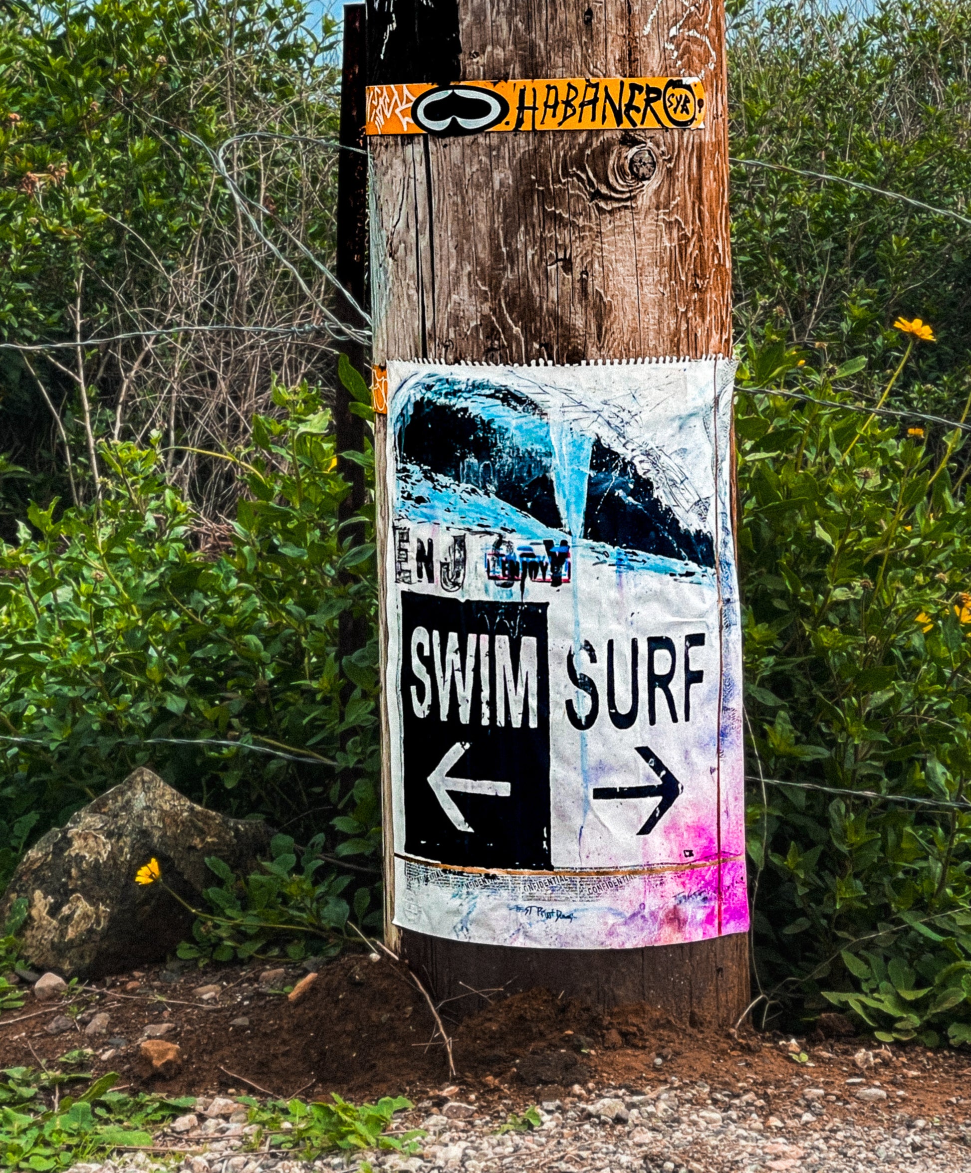 swim surf repeat art work posted outdoor