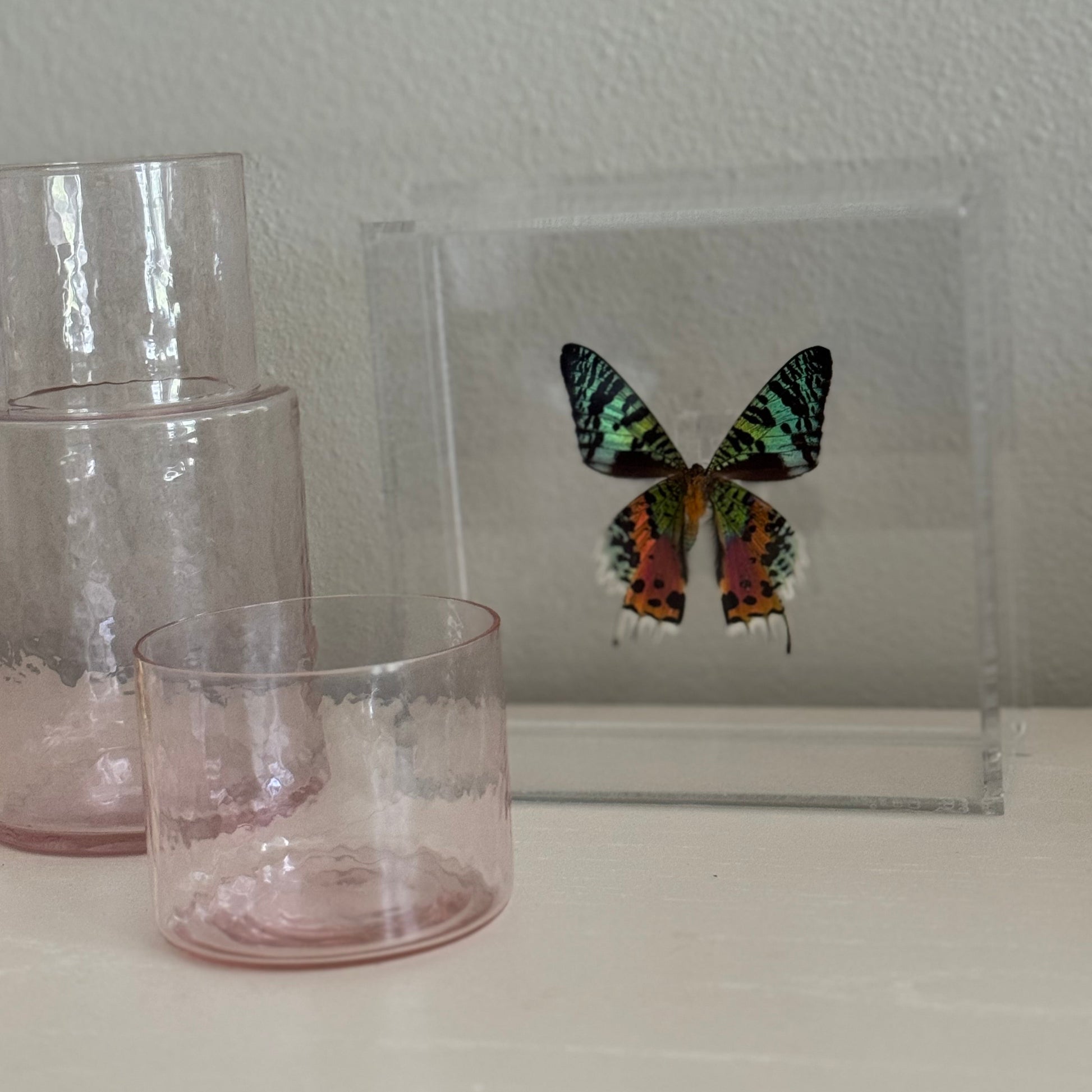 multicolored butterfly mounted in an acrylic box on a table with two vases.