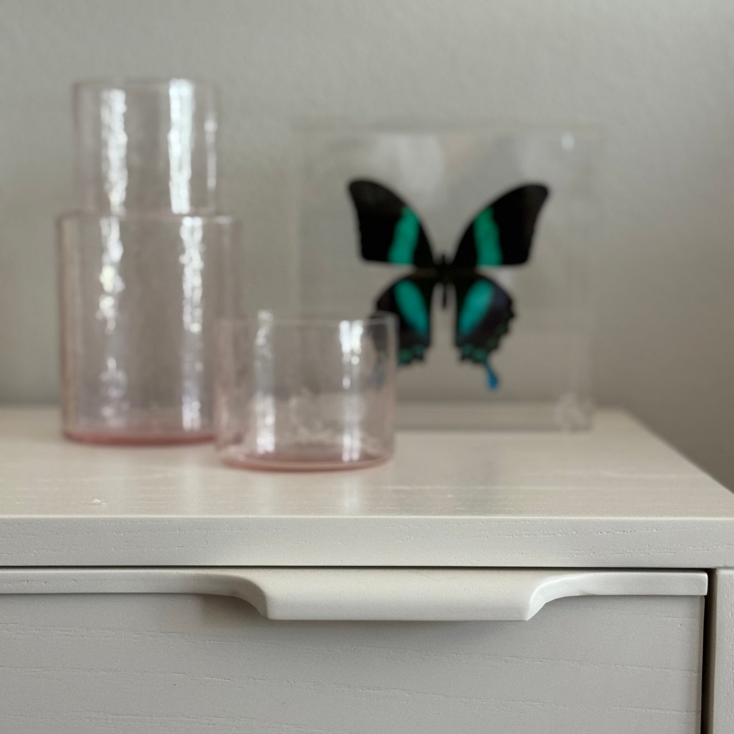 Blumei butterfly in acrylic box on white cabinet with blush carafe and glass