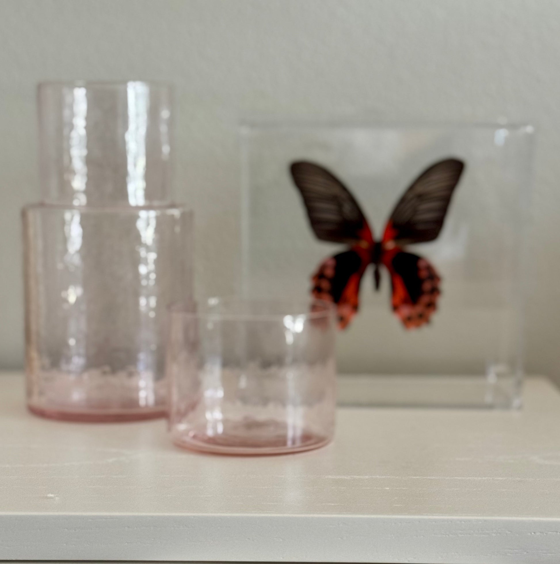 black and red butterfly mounted in an acrylic box sitting behind two transparent vases