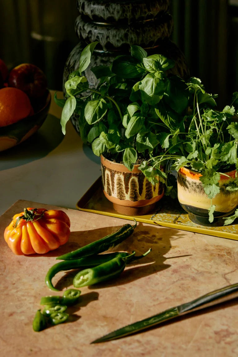 Vegetables and potted plants on a wooden surface with a dark background