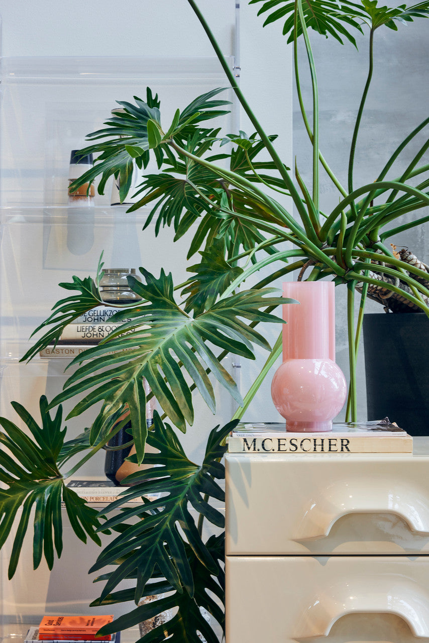 glass flower vase in flamingo pink on a cream colored drawer with a large green plant