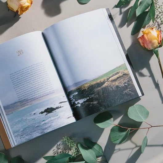 Bible Book Genesis with photography