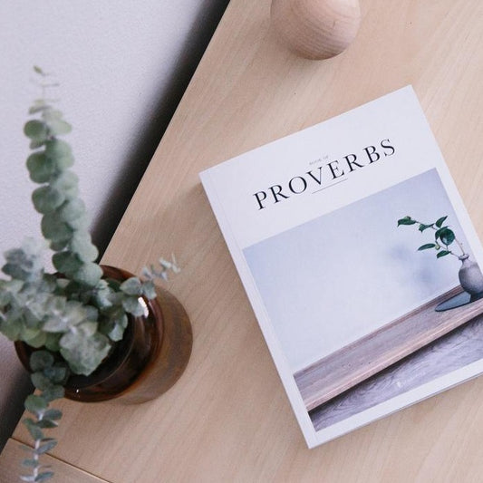 bible book proverbs by alabaster co for amstel gallery giftshop