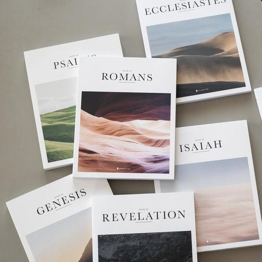 individual beautiful illustrated bible books