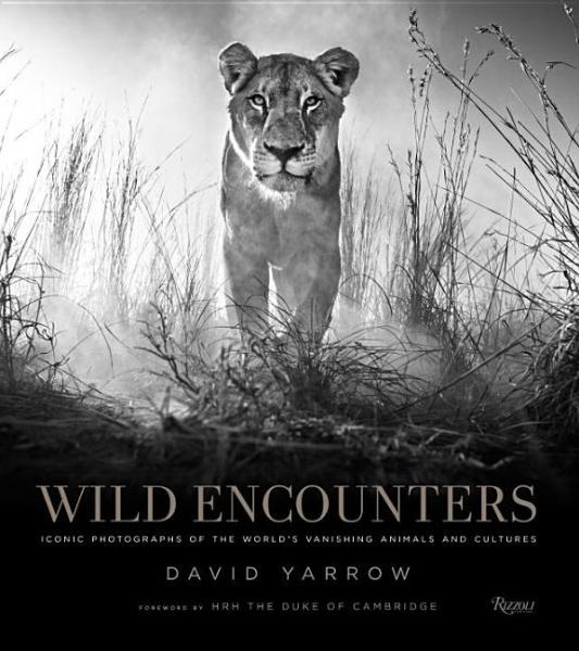 Black and white image of a lioness in grass with 'Wild Encounters' book cover text.