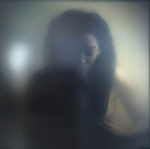 A moody, low-key photograph of a woman with long dark hair, partially obscured by a large dark silhouette in the foreground, set against a hazy, dimly lit background.