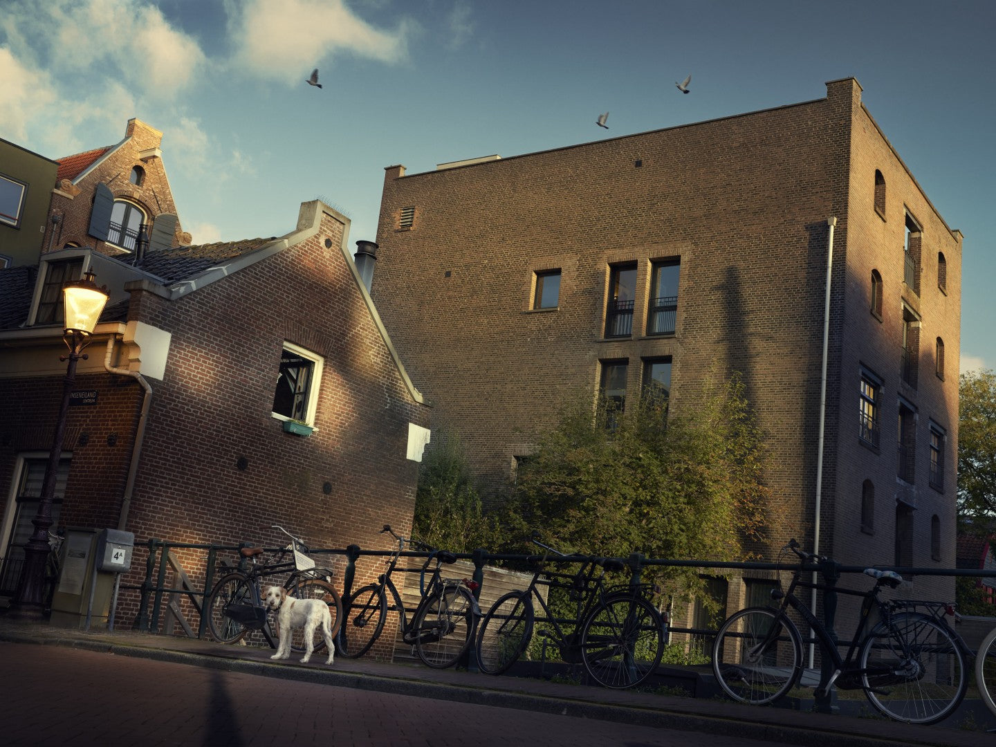 dog on a bridge in Amsterdam surrounded by bicycles