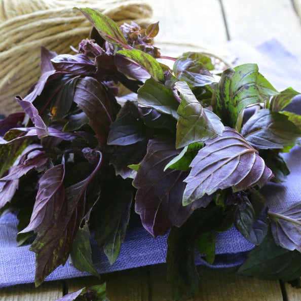 Bouquet of purple and green basil leaves on a wooden surface