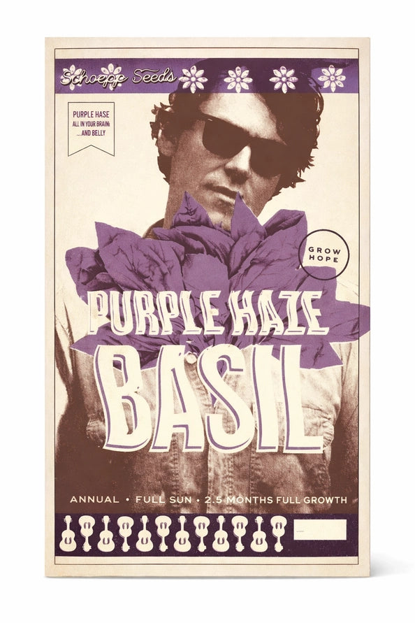 Seeds packet for 'Purple Maze Basil' with a person wearing sunglasses and a purple headscarf.