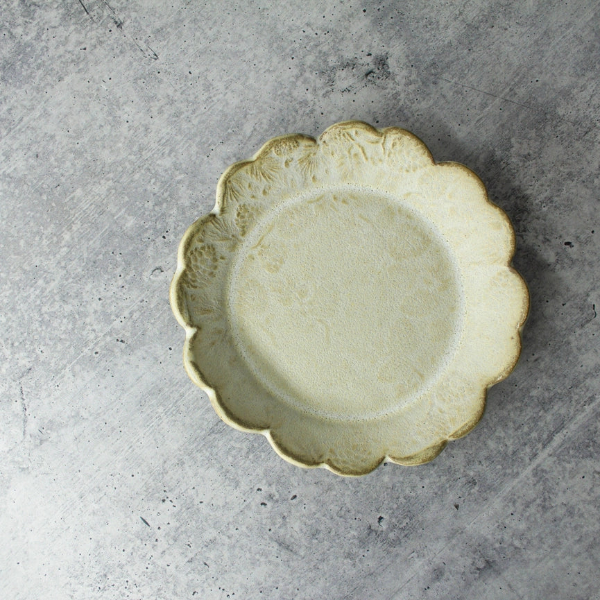 beige white ceramic plate on grey background