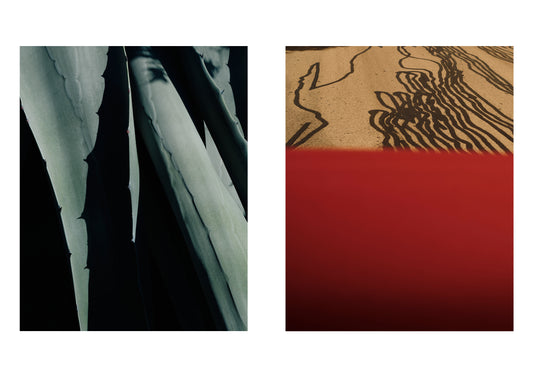 Lotte Ekkel & Kathrin  Mundwiler - Diptych #1