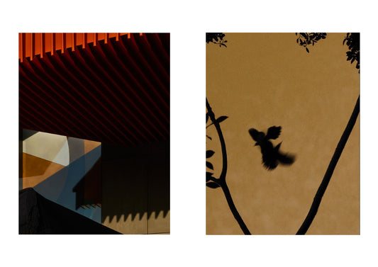 Two abstract art pieces side by side with geometric shapes and a silhouette of a bird.