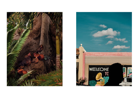 Two images: one of a person lying on a tree with plants, and chickens and another of a 'Welcome to' sign with a Grammy Award.