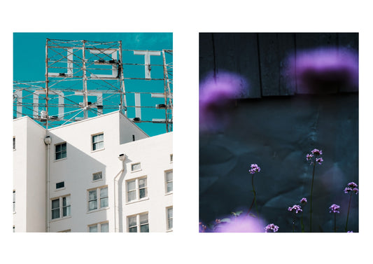 Two images: one of a building with a large sign and another of purple flowers against a dark background.
