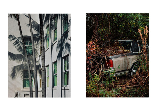 Two images side by side; one of a building with palm trees, the other of a truck in a forest.