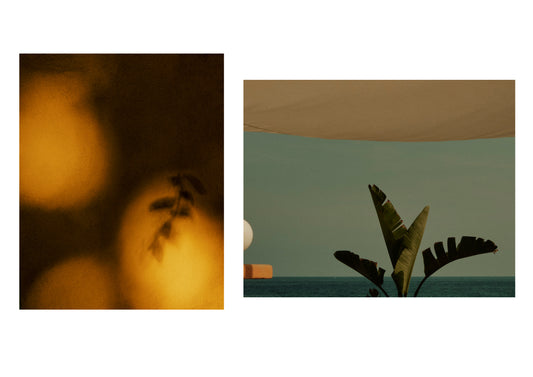 Lotte Ekkel & Kathrin  Mundwiler - Diptych #2
