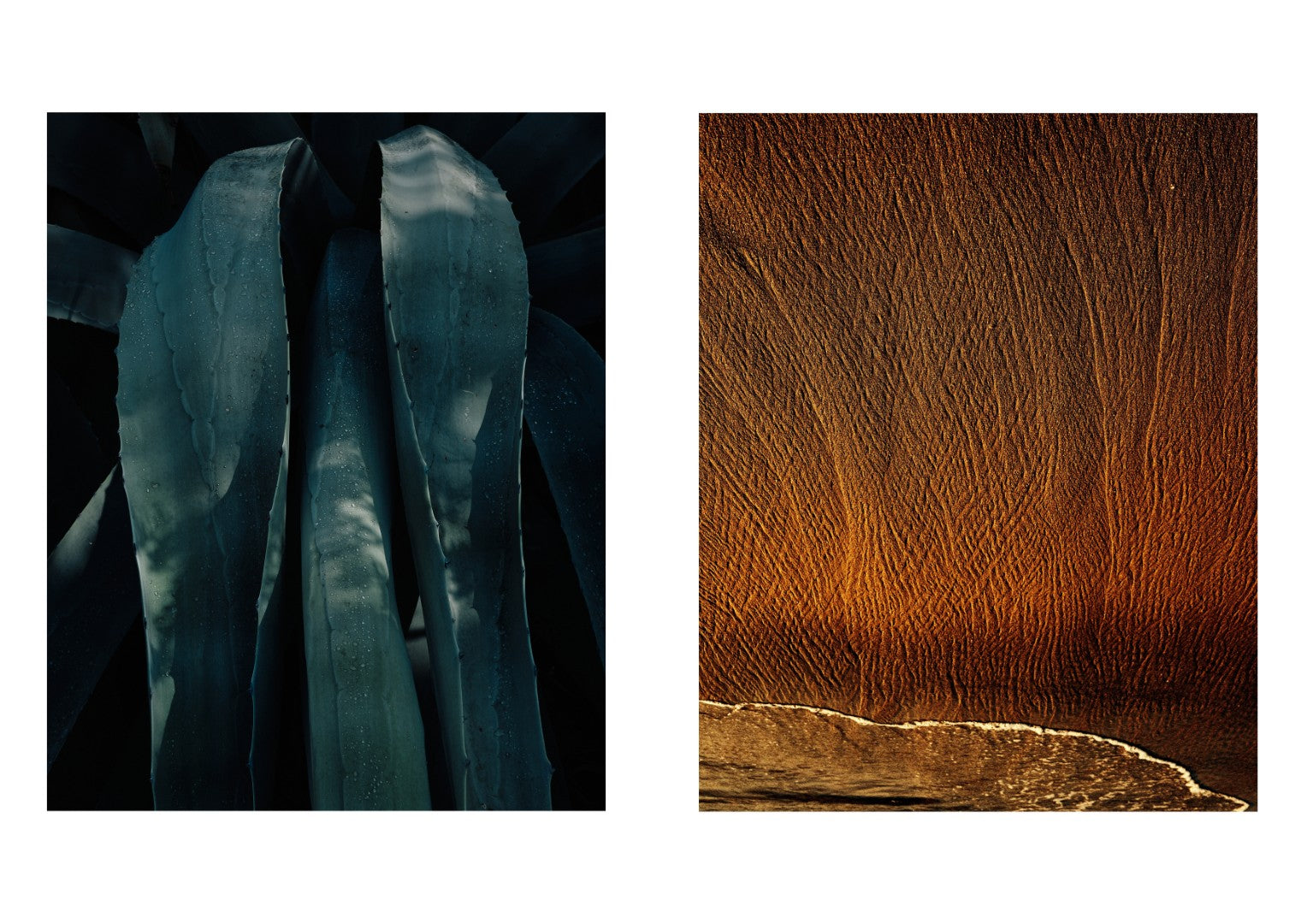 Two abstract art pieces side by side, one with blue tones and the other with brown tones.