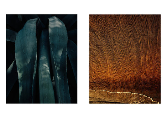 Two abstract art pieces side by side, one with blue tones and the other with brown tones.