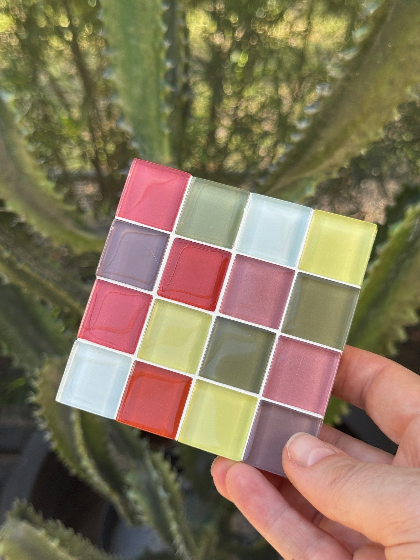 A hand holds a square mosaic tile sample featuring a grid of colorful glass tiles in shades of pink, red, yellow, green, and purple, set against a blurred background of a cactus.