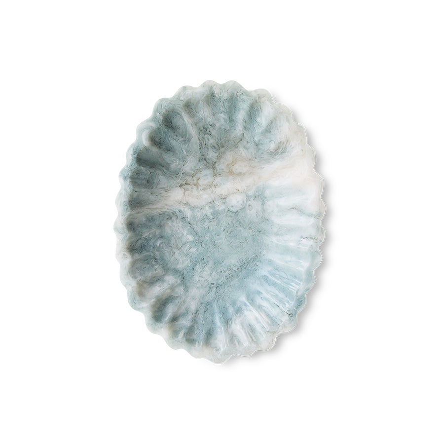 Fossilized coral on a white background