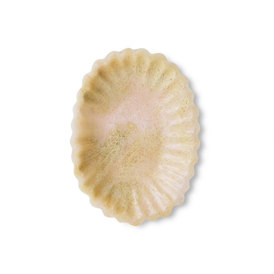 Beige shell-like object on a white background
