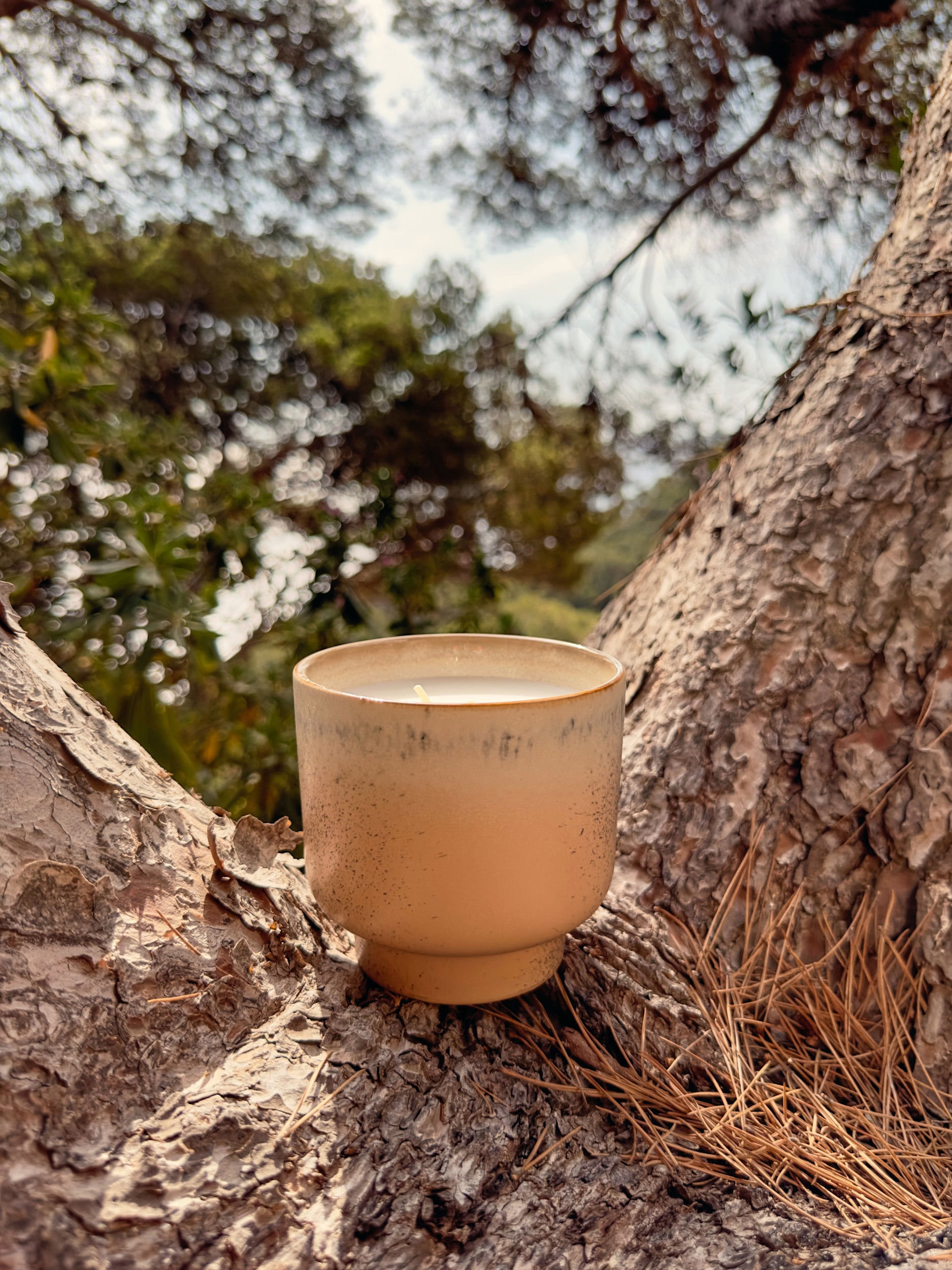 Ceramic cup on a tree stump with a natural background