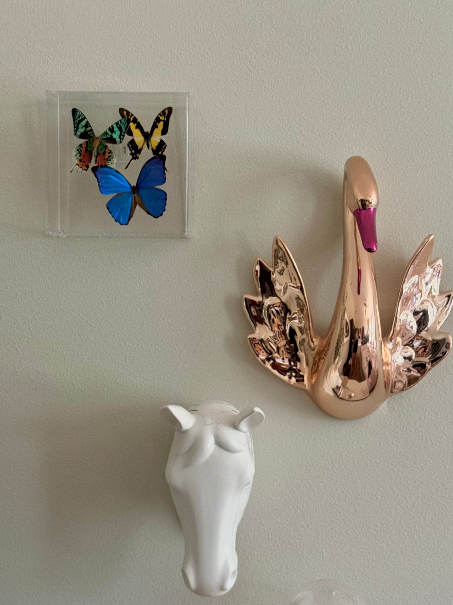 Three butterflies mounted in an acrylic box - hanging on a wall beside other home decor. 
