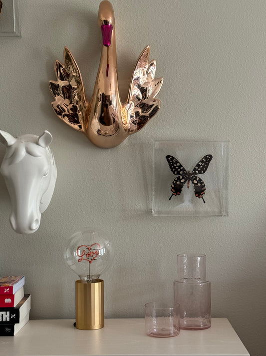 black and white mounted butterfly hanging among other home decor. 