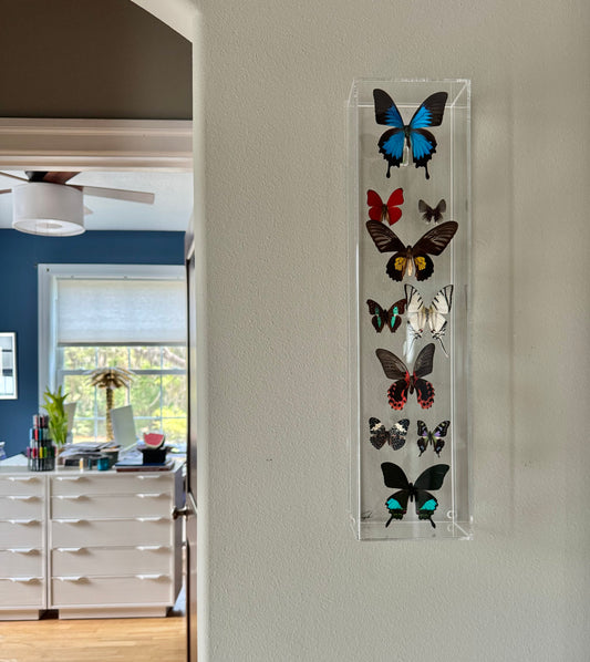 10 multicolored mounted butterflies in an acrylic shadowbox. 