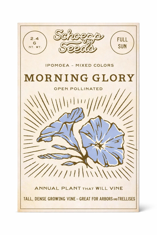 Schoepf Seeds morning glory seed packet with blue flower illustration on beige background