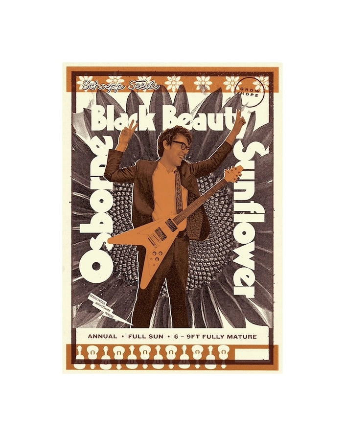 Poster with a person playing guitar and text on a white background