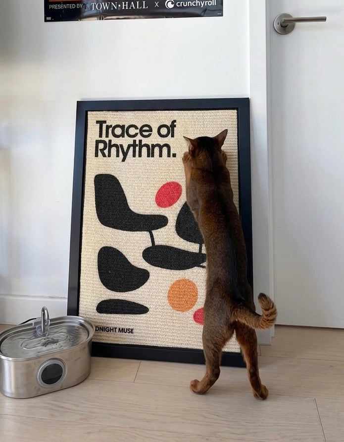 cat scratching a designer print all scratcher