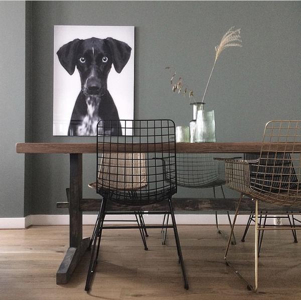 close up picture of black dog by Hk living USA in dining room
