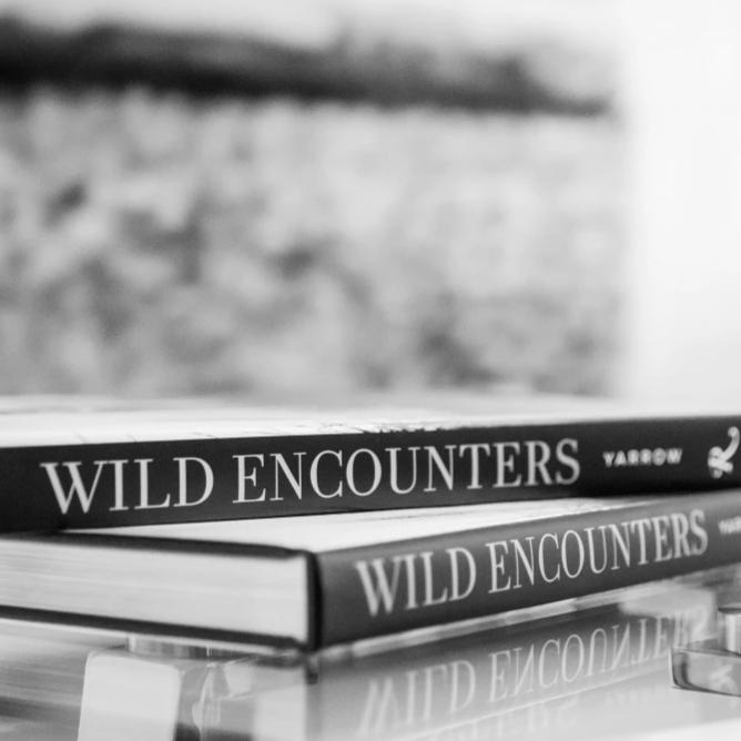 wild encounters coffee table book by david yarrow