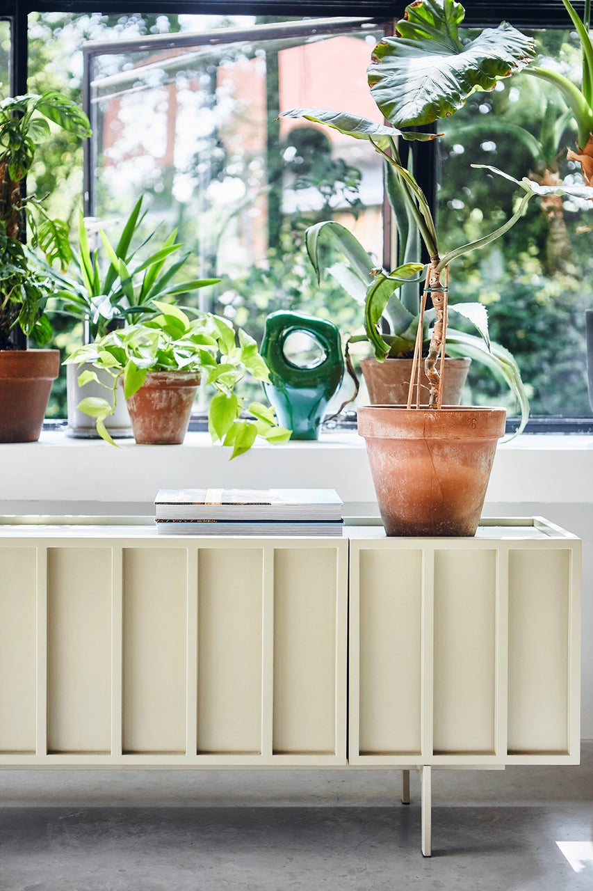 green glossy object between plants in a window
